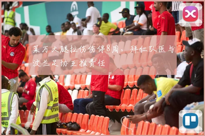 莱万大腿拉伤伤停8周，拜仁队医与波兰足协互推责任